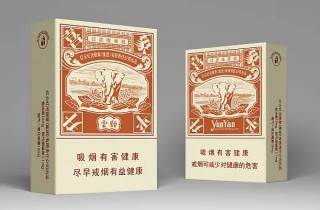 黑色兰州烟多少钱今日论述，隆重梳理黑色兰州烟价格